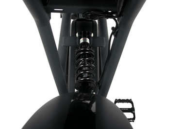 OneSport ONES3 Elektrofahrrad