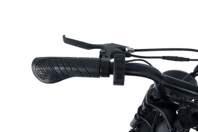 OneSport ONES3 Elektrofahrrad