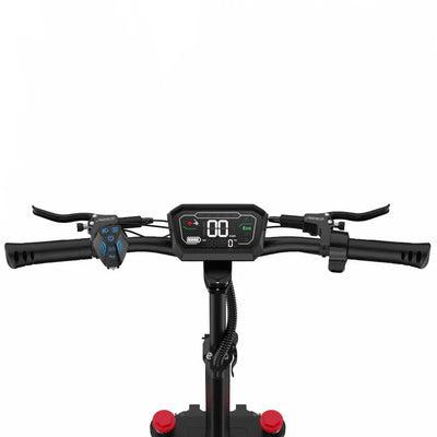 OOTD D88 Elektroroller