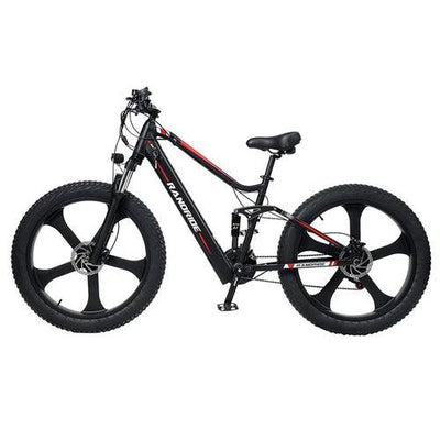 RANDRIDE YX90M Elektrofahrrad