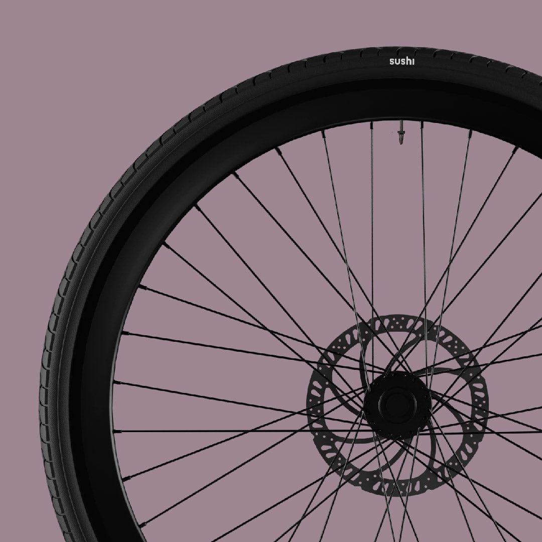 E-Bike California Roll 3.0