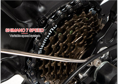 Samebike 20LVXD30 II Elektrofahrrad vorbestellen