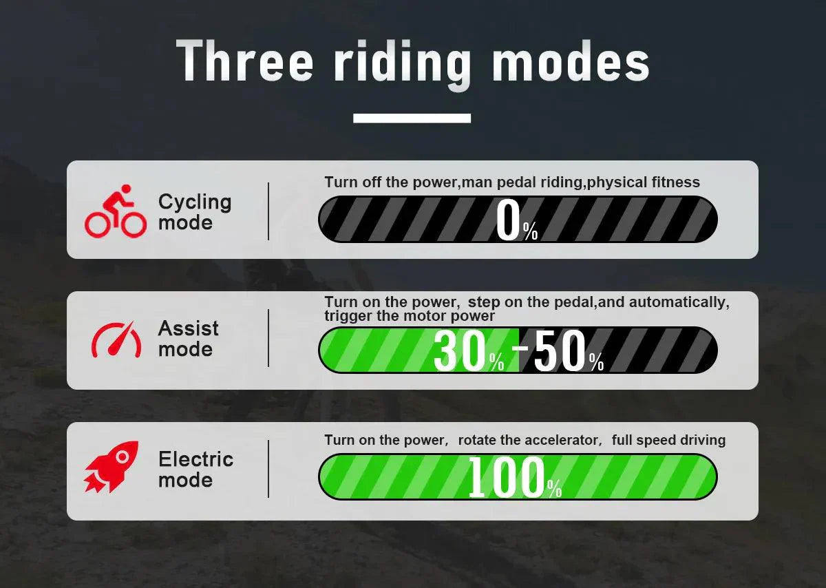 SAMEBIKE RS-A01 Elektrofahrrad