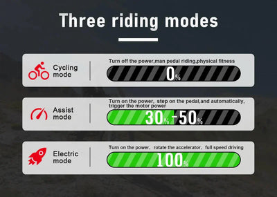 SAMEBIKE RS-A01 Elektrofahrrad