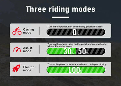 SAMEBIKE RS-A01 Elektrofahrrad